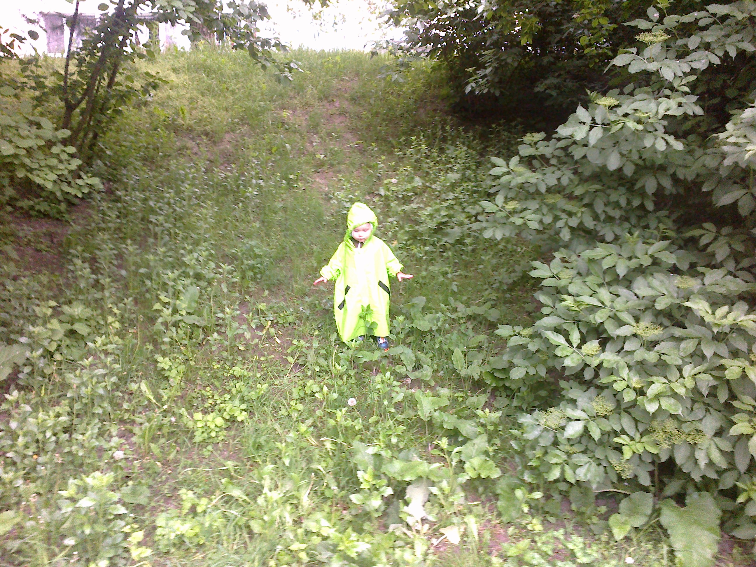 2013-05-11-721