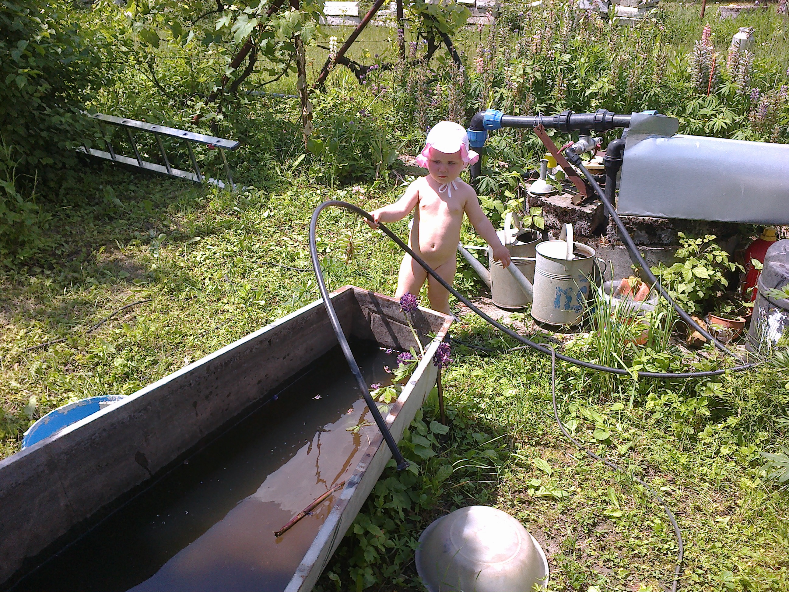 2013-06-08-729