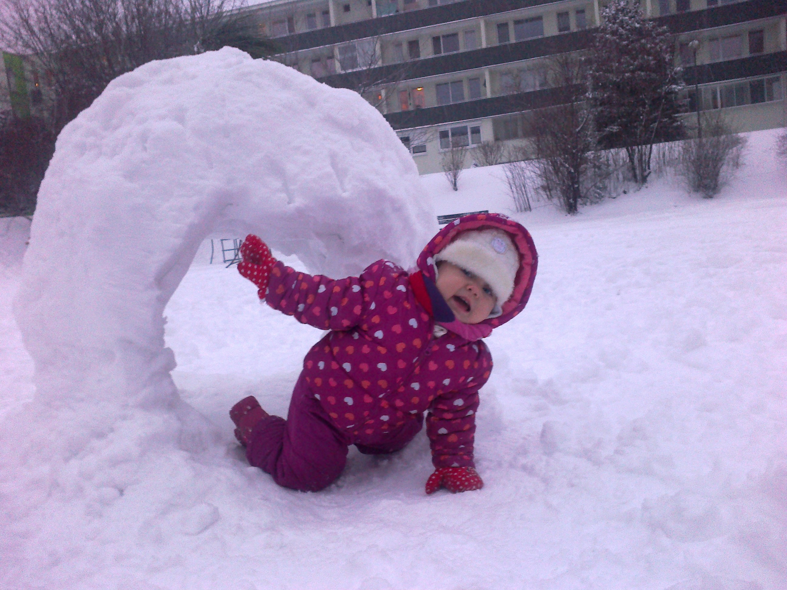 2013-01-14-541