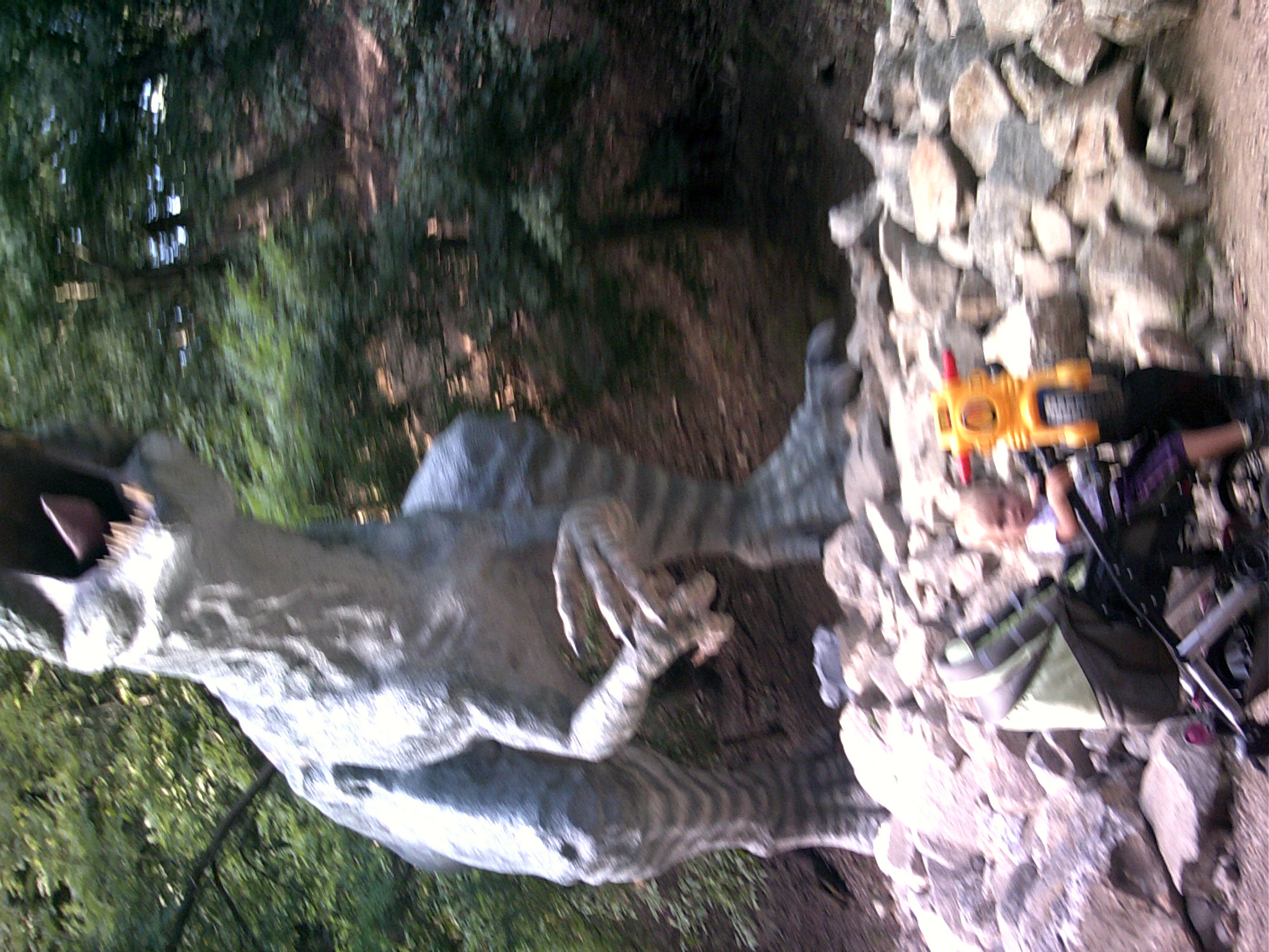 zoo 09 2013 (2)