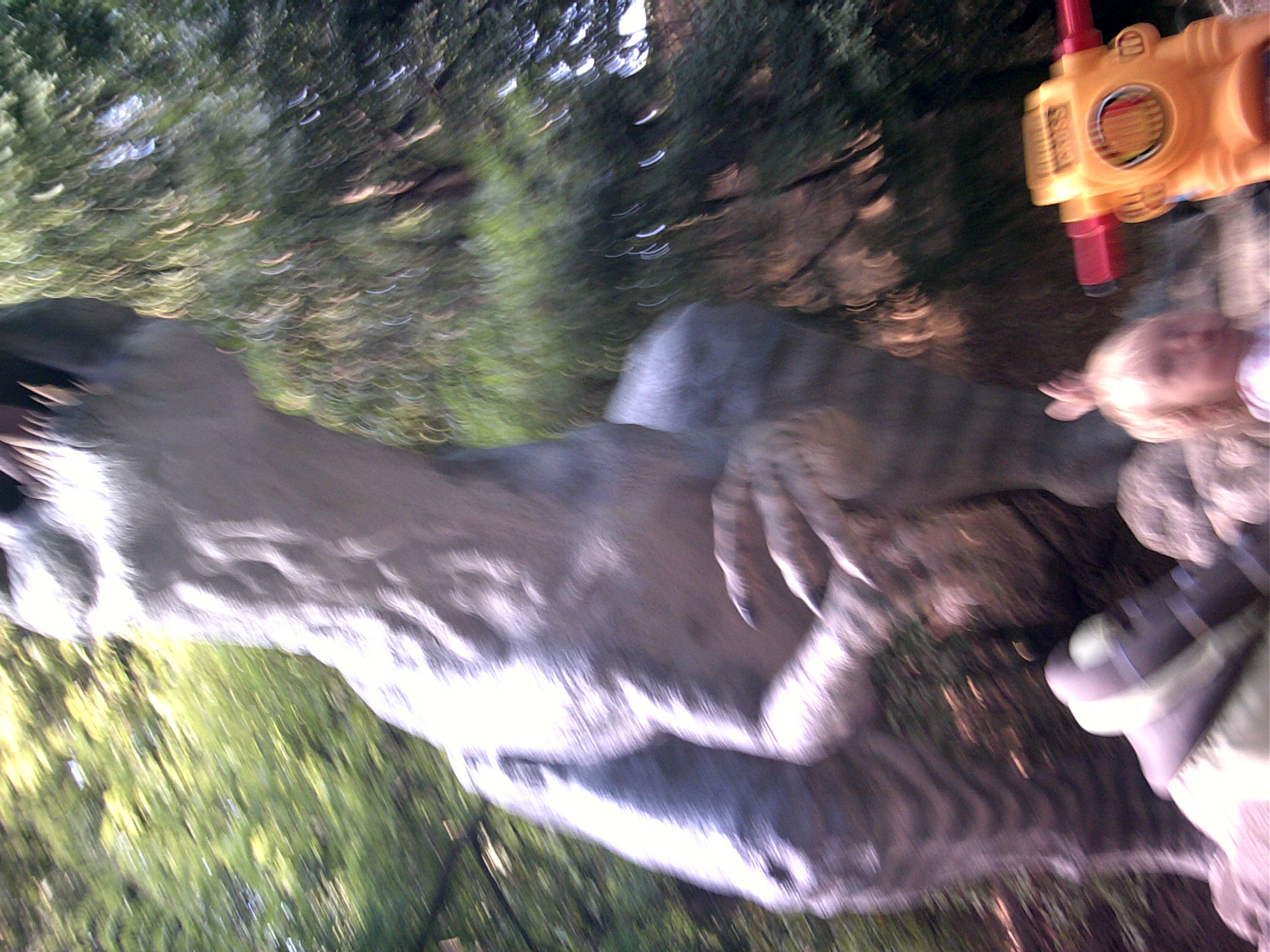 zoo 09 2013 (3)