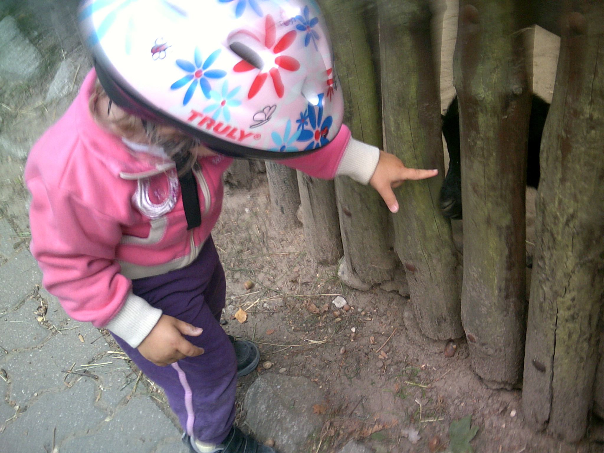 zoo 09 2013 (6)