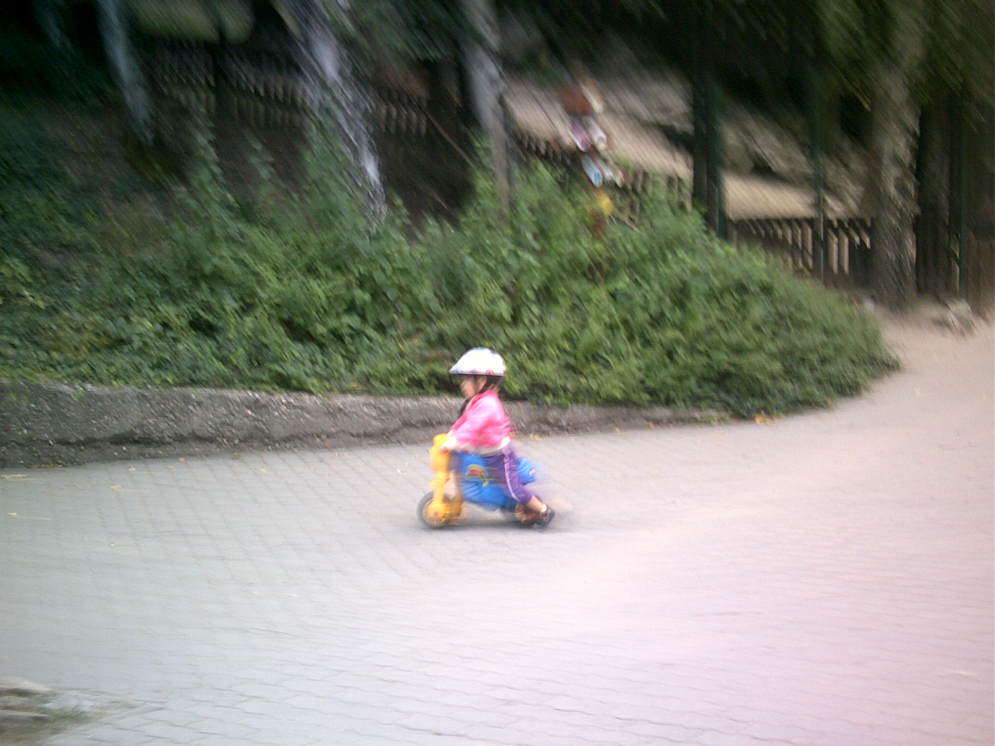 zoo 09 2013 (8)