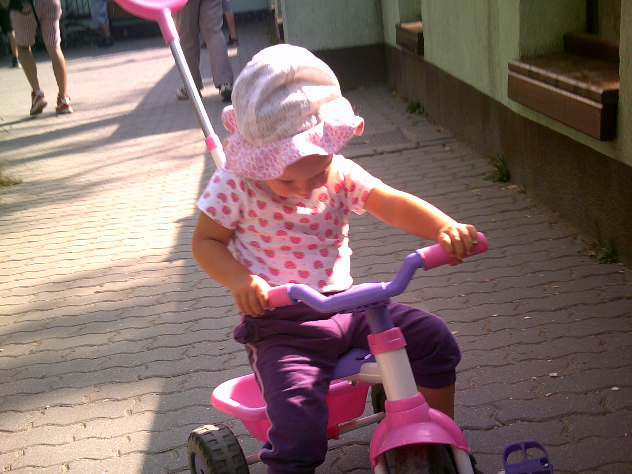 zoo 09 2013 (10)